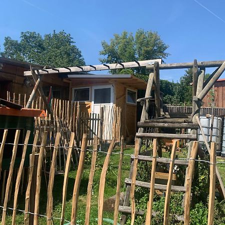 Blockhausvermietung "Vor Dem Groeperntor" 크베들린부르크 외부 사진