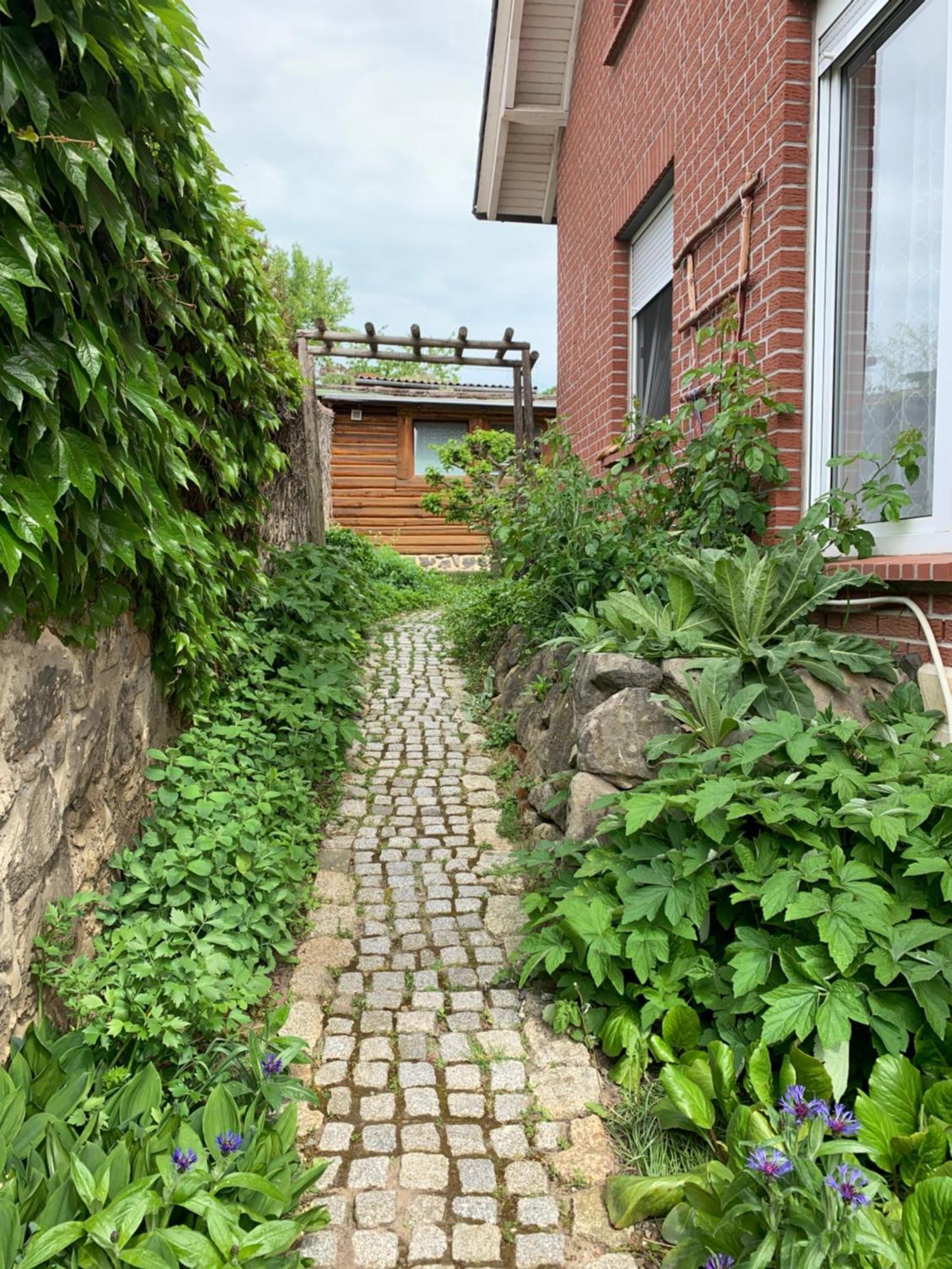 Blockhausvermietung "Vor Dem Groeperntor" 크베들린부르크 외부 사진